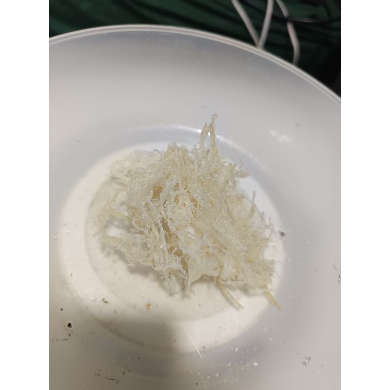 

sarang walet bersih 10gram tanpa bahan kimia 100@%