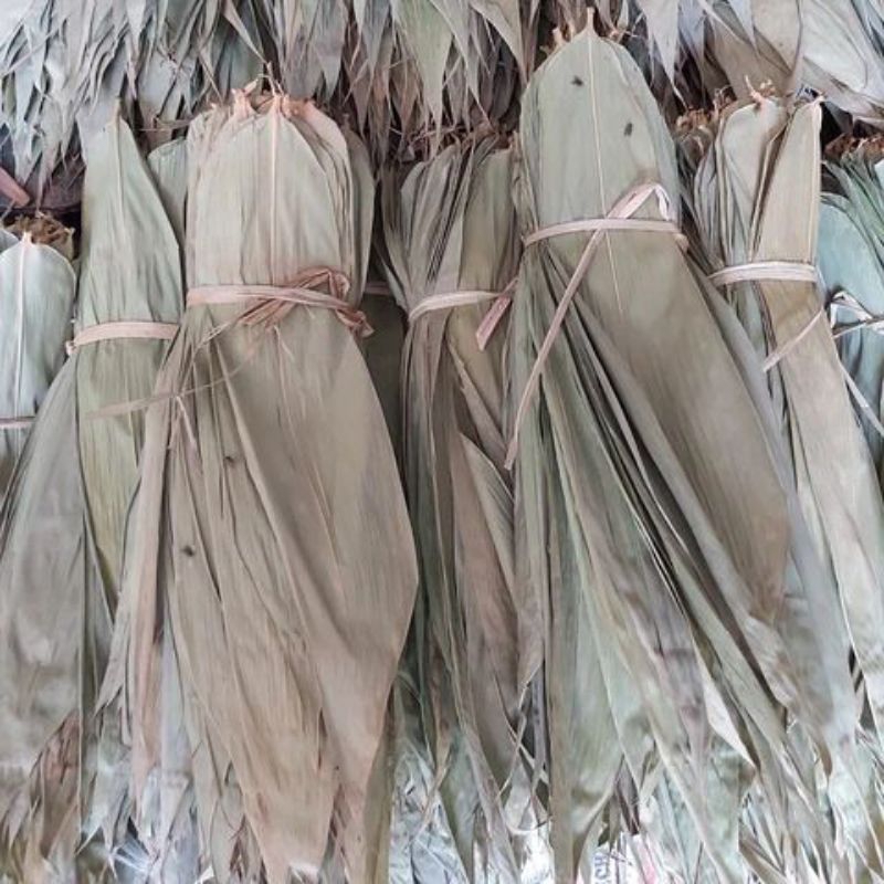 

Daun Bambu Petung & Kuning