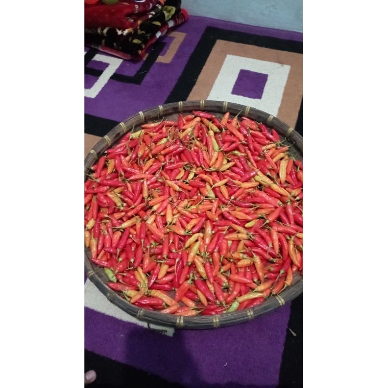 

Cabai Ori & Cabai Hijau