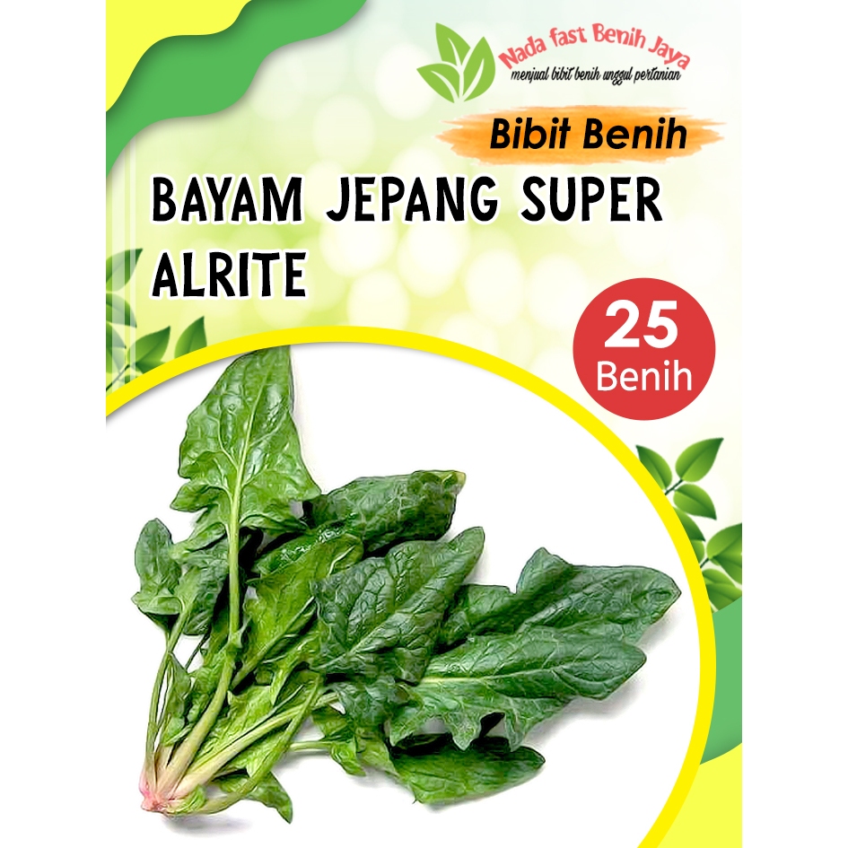 25 Biji sayuran Bayam jepang horenzo / Bibit bayam jepang
