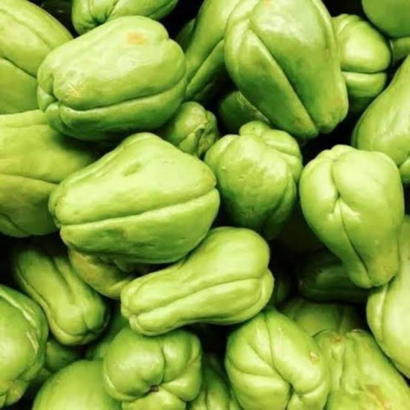 

labu siam kecil | labu acar 250 gram