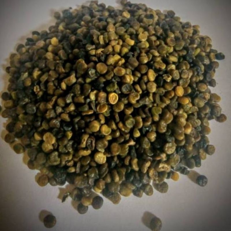 benih indigofera paket 1kg