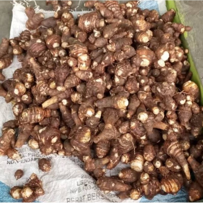 

COD Ubi Talas atau Tales FRES 1 Kg. Bisa di Rebus / Di Goreng