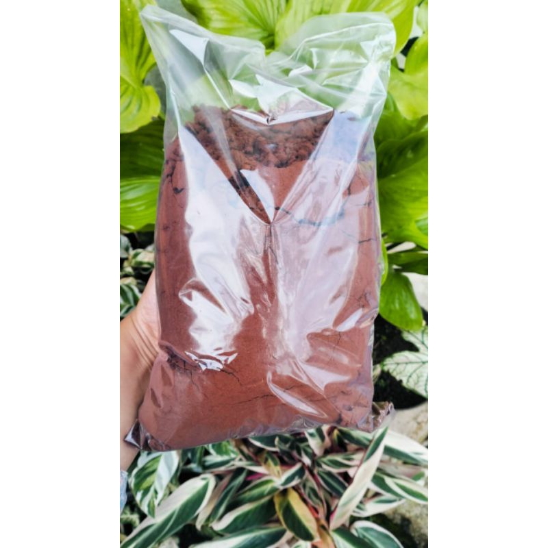 

PETIK MERAH 500GR