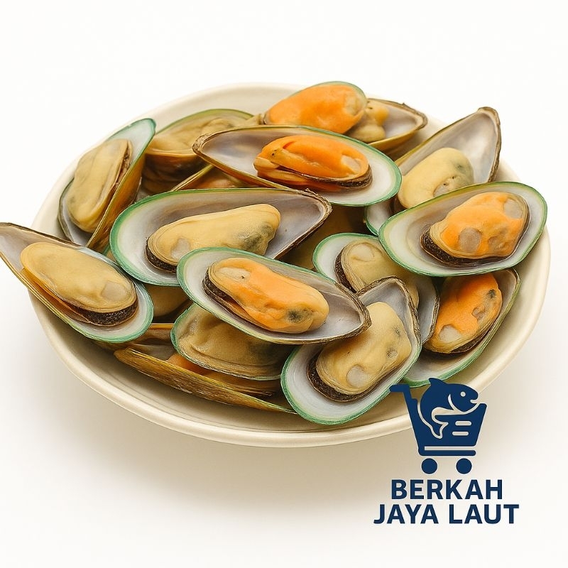 

kerang hijau ukuran besar bersih