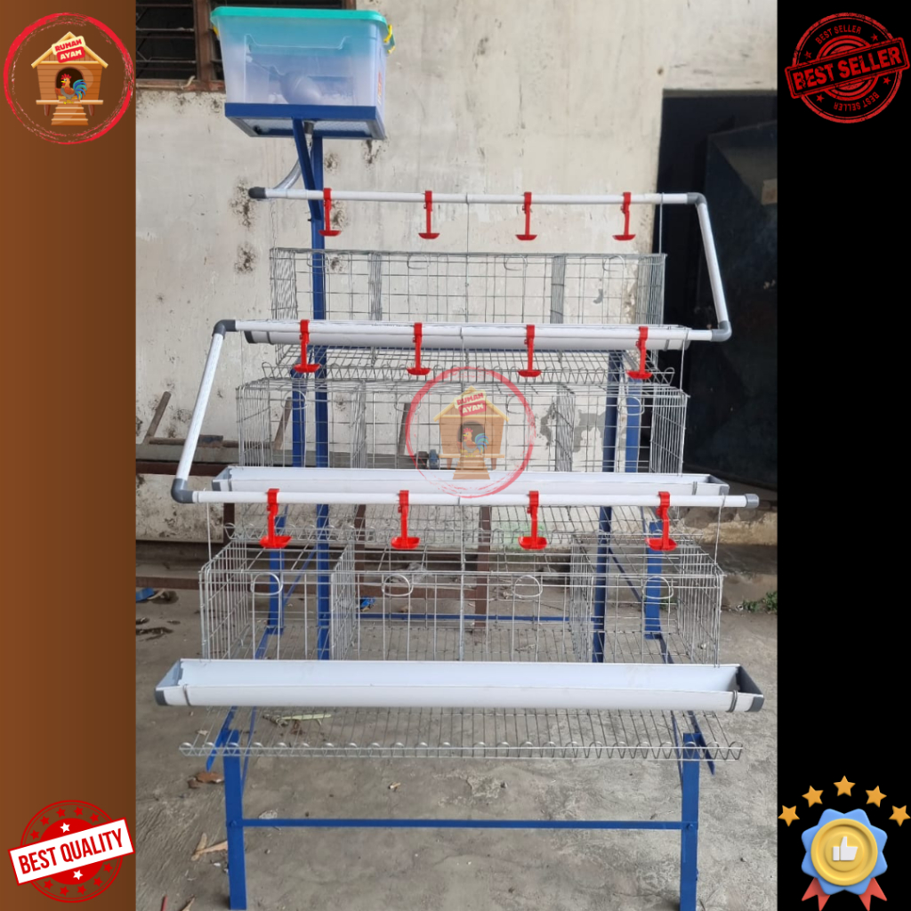 Paket Kandang Ayam Petelur Fullset Aksesoris Lengkap Rumahan Modern