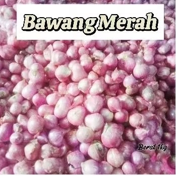 

READY !!! BAWANG MERAH 1 kg