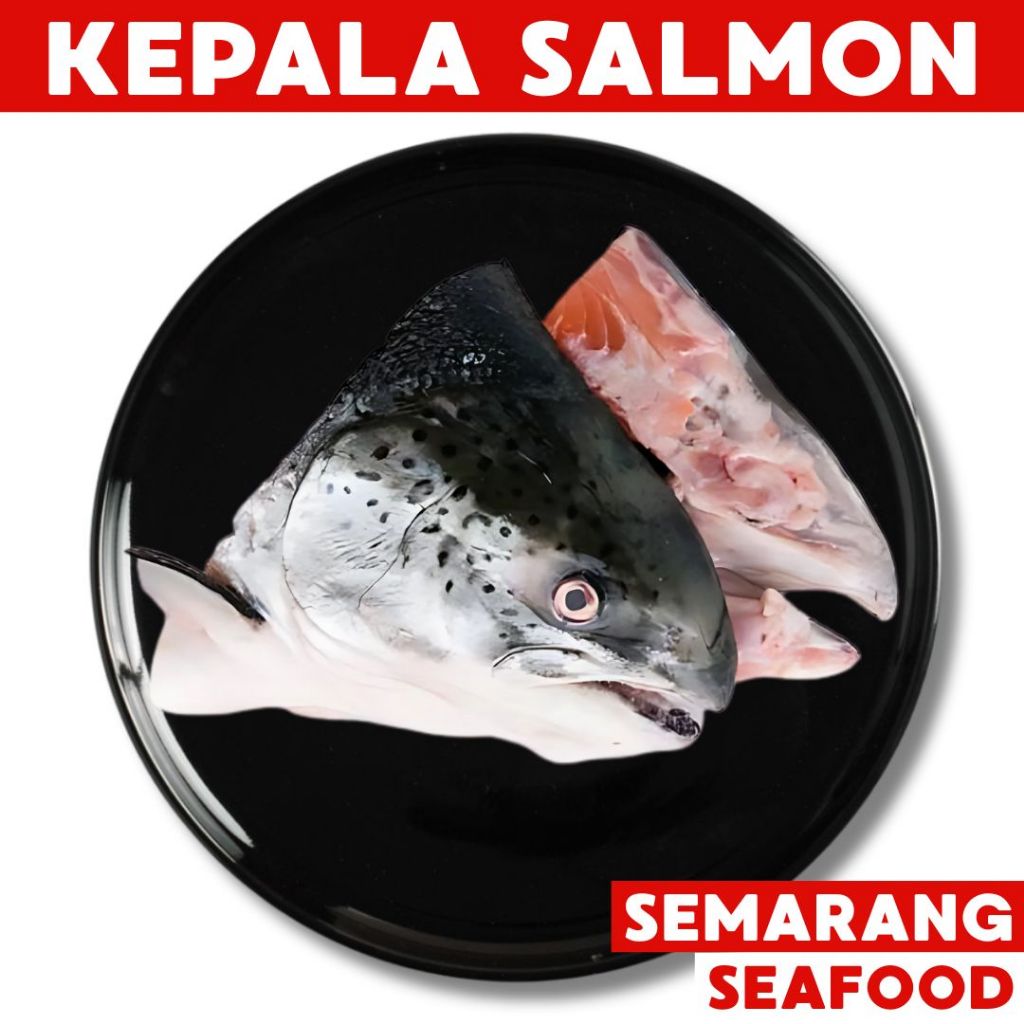 

Kepala Salmon Premium | Ikan Semarang | Ikan Segar Semarang | Ikan Fresh Semarang