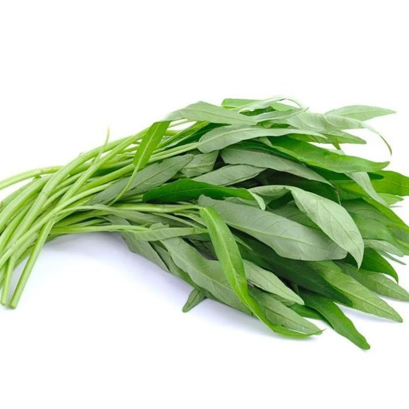 

Kangkung Segar 1 ikat