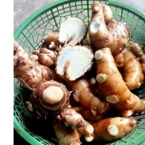 

KUNYIT HITAM/Temu Ireng 500gram segar