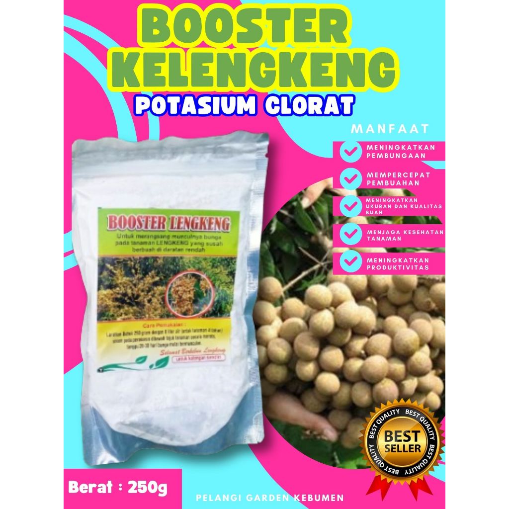 UNGGULAN  Booster Buah Kelengkeng Sudah Berbunga, Booster Buah Kelengkeng Siap Berbuah