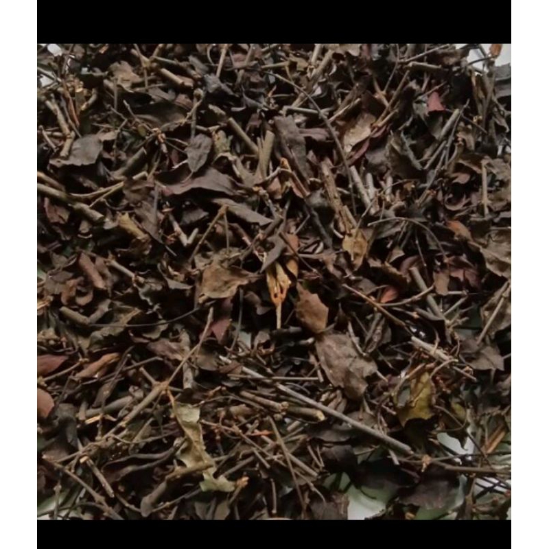

daun benalu cengkeh kering 100 gram asli 100%original