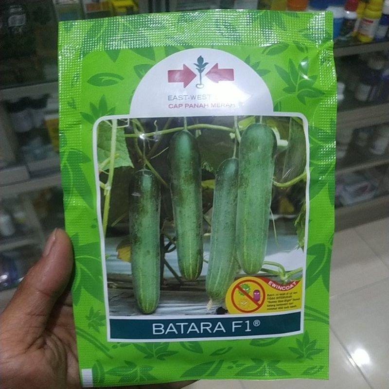 timun batara f1 bibit timun batara panah merah  isi ±800butir
