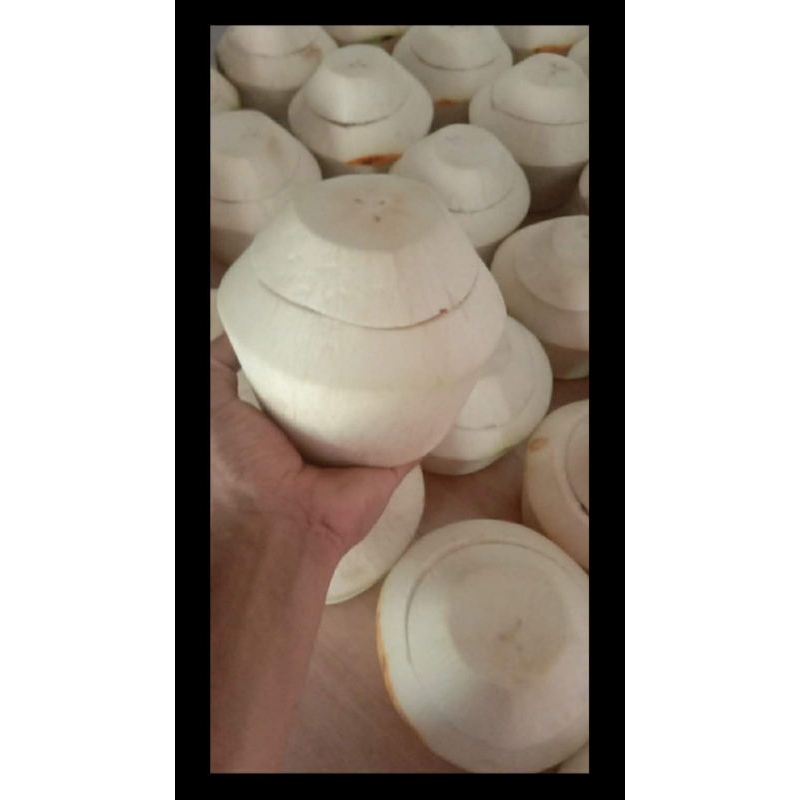 

degan jelly original