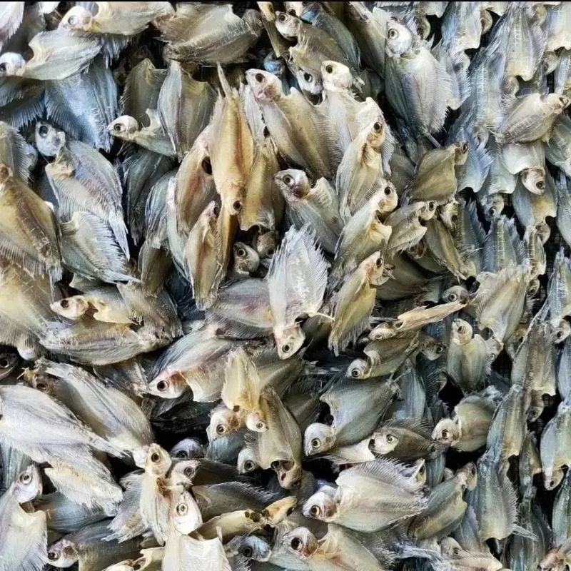 

Ikan asin sepat kering 250gr