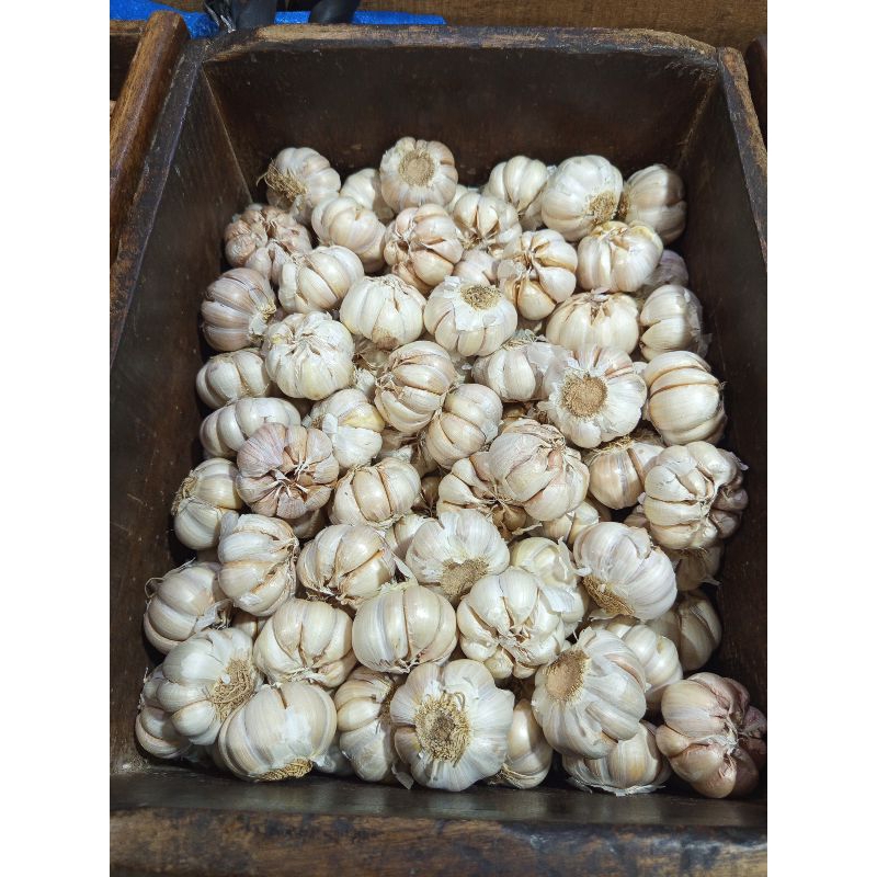 

Bawang Putih Banci 250 g