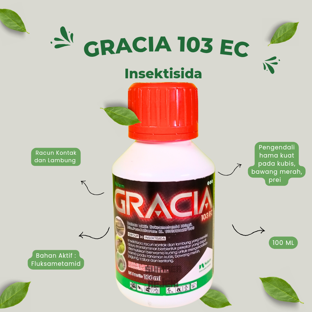 GRACIA 103 EC
