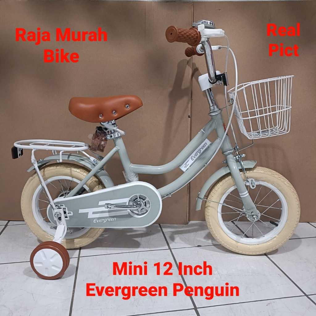 Sepeda Anak Perempuan Mini 12 Inch Evergreen Penguin Sepeda Anak Mini Penguin Evergreen 12 Inch Terb