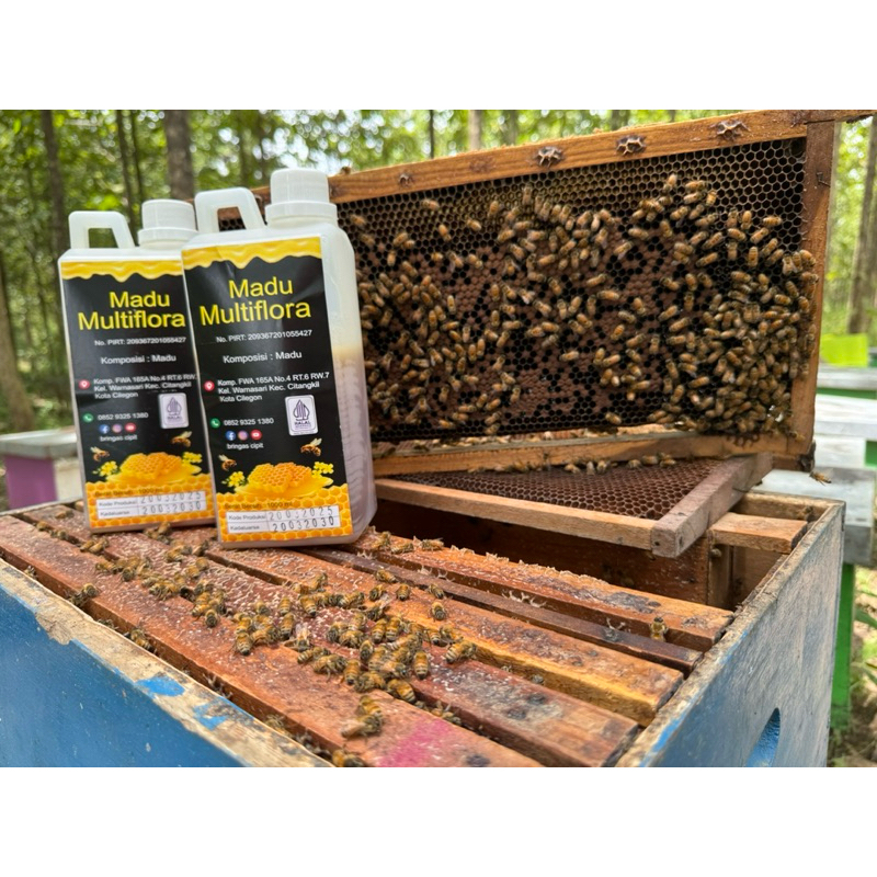 

madu multiflora cilegon