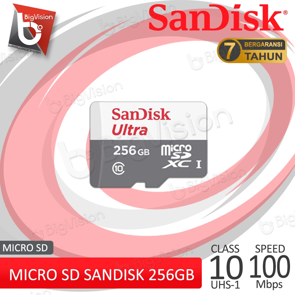 SanDisk SD Card Memory 256GB Kartu Memori MicroSD Class10