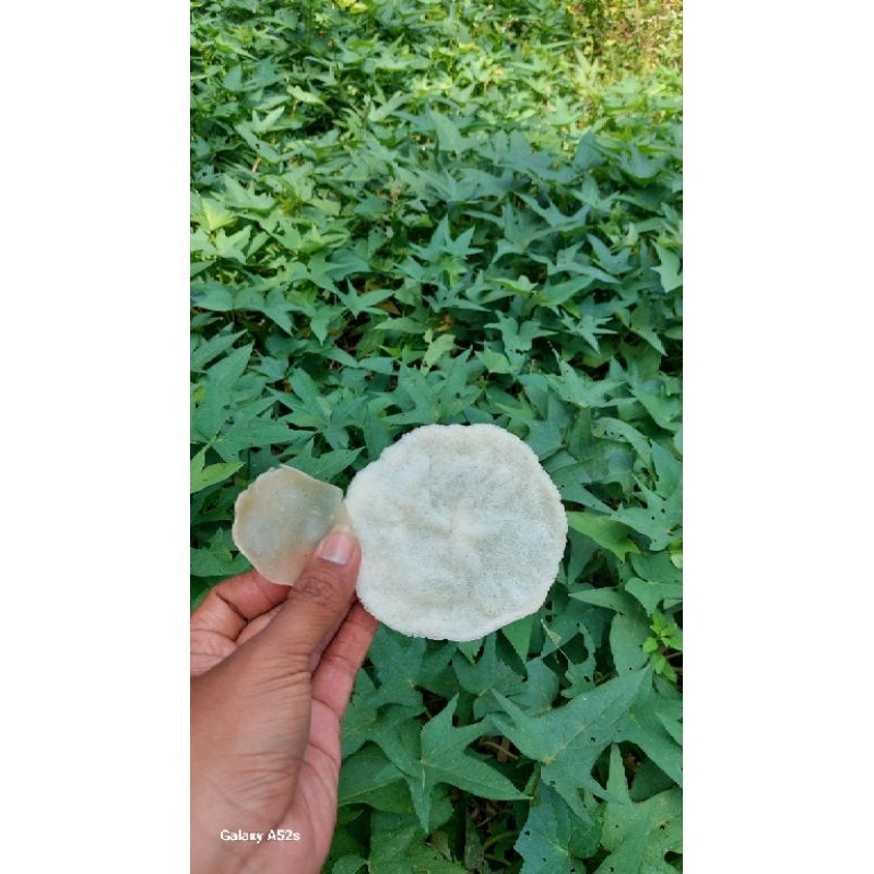 

Krupuk jadoel kemasan 250 gram jadul krupuk puli tradisional kerupuk rumahan krupuk gurih enak renyah