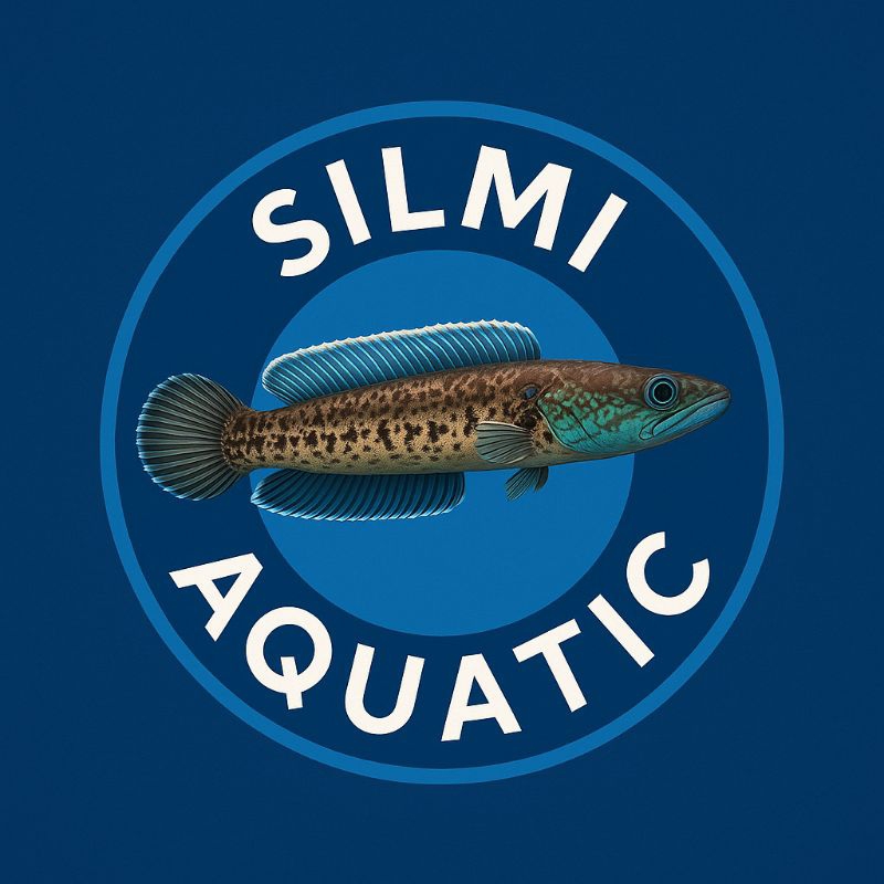 Misteri Box ikan hias Silmi Aquatic