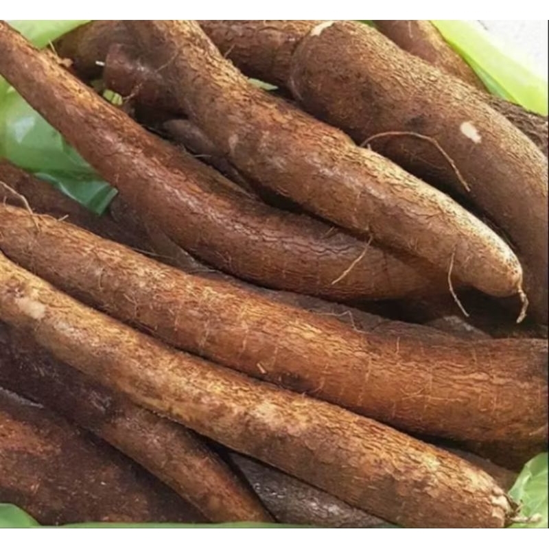

singkong keju/singkong pulen mantap isi 1kg redii siap kirim
