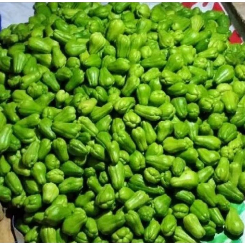 

Labu siam 1kg fresh petik dari kebun TERMURAH