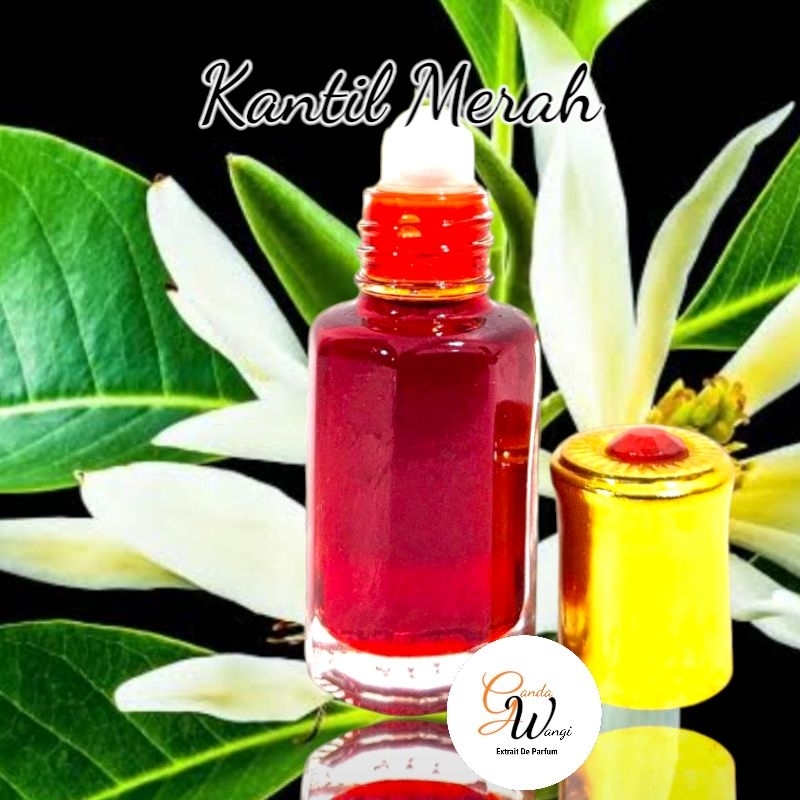 Minyak Kantil Merah Asli Murni Pure Parfume