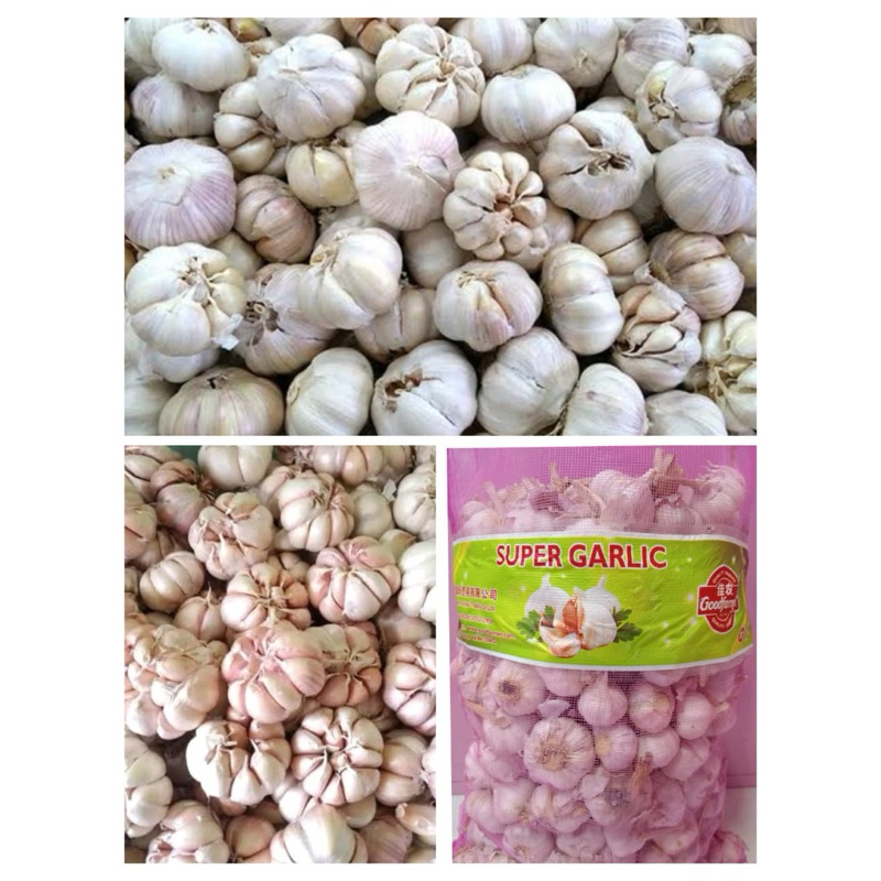 

Bawang putih Honan Besar Sedang 1kg fresh dan segar promo