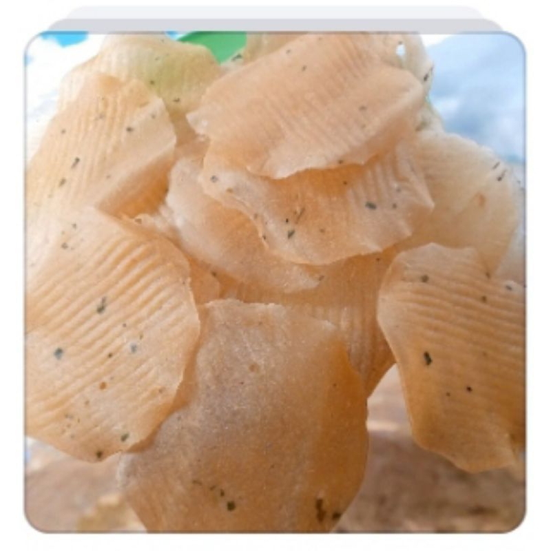 

Opak Singkong Renyah Gurih.uk 14-16 cm.Harga Promo 1kg