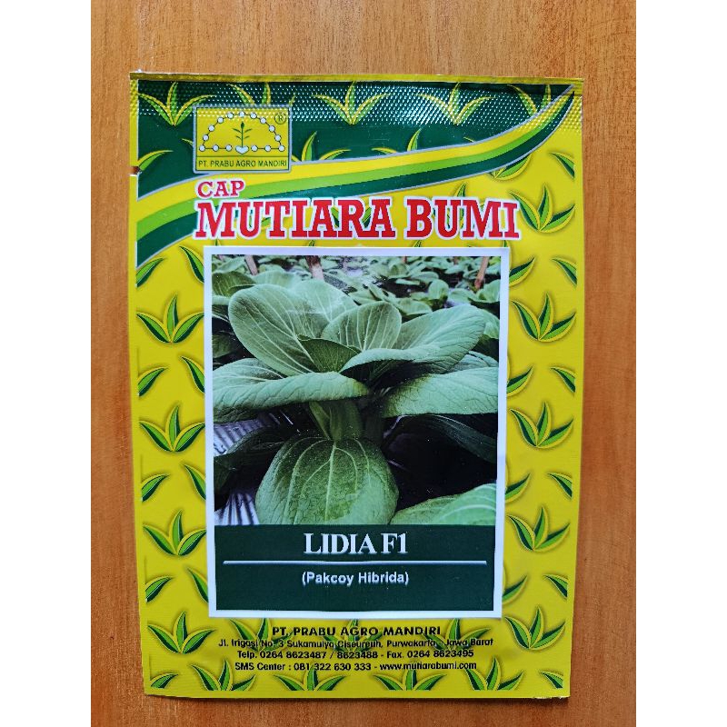 pakcoy Lidia F1/bibit pakcoy/ benih pakcoy 10 gr