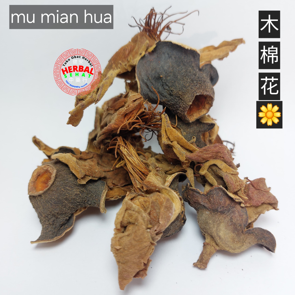 

Mu Mian Hua 木棉花 Gossampinus malabarica