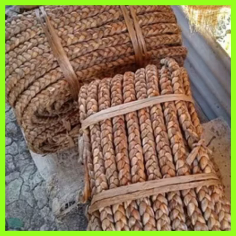 KILOAN ECENG GONDOK TALI 15mm-17mm/ 1KG ECENG GONDOK TALI KEPANG MURAH