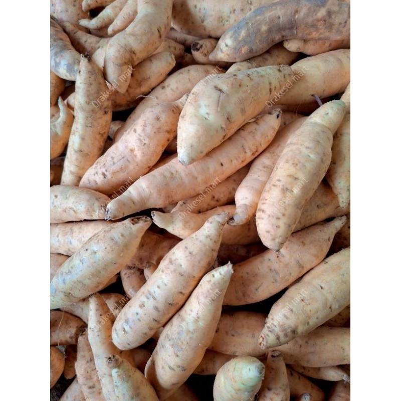 

UBI MADU CILEMBU 1KG ISI BANYAK