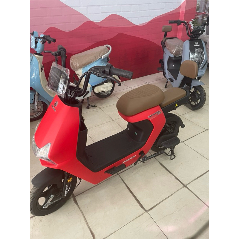 Sepeda Listrik Zeckrom 300