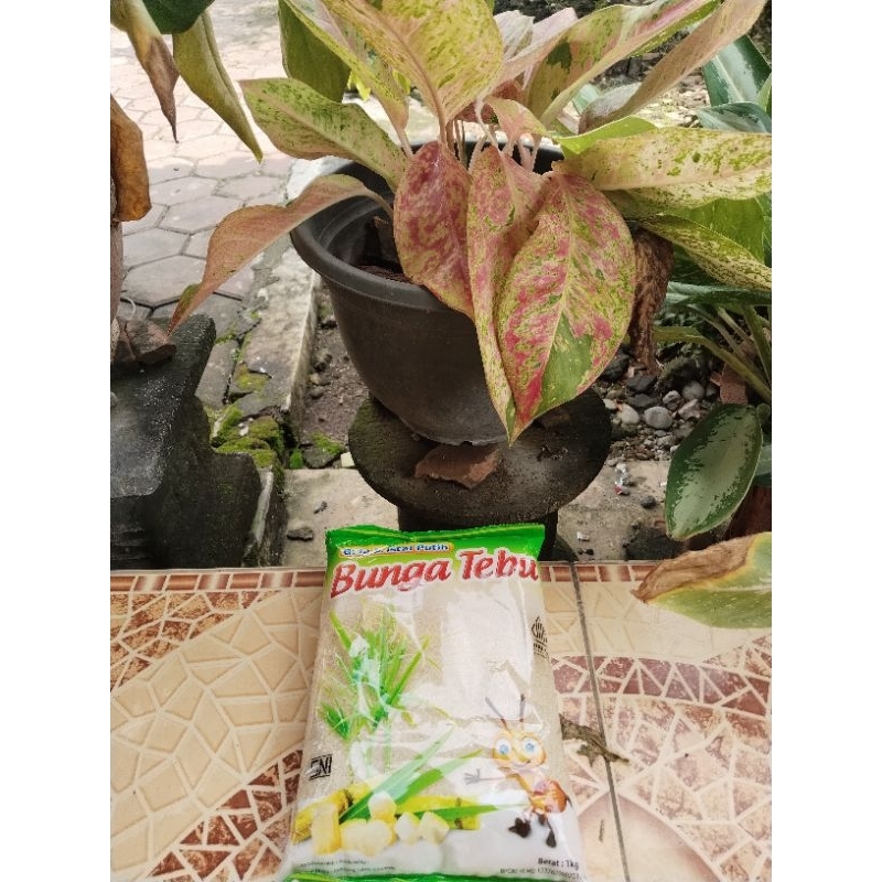 

GULA BUNGA TEBU 1kg