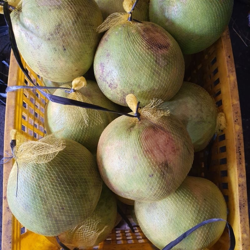 

Jeruk Bal Jeruk Bali per 1 buah