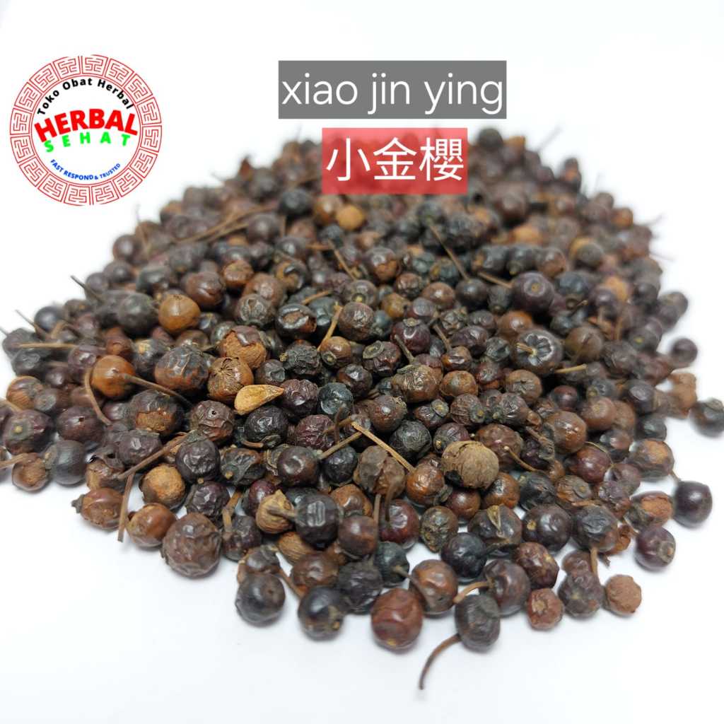 

Herbal Xiao Jin Ying Zi 小金樱子 Rosa Cymosa