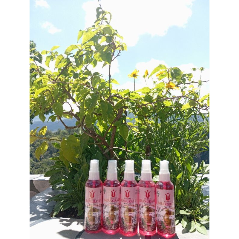 

herbal shangratu by sarisalon original[COD & gratis ongkir seluruh Indonesia] air kesat | herbal shangratu | PAKET HEMAT 5 botol | antibiotik alami | obat serbaguna