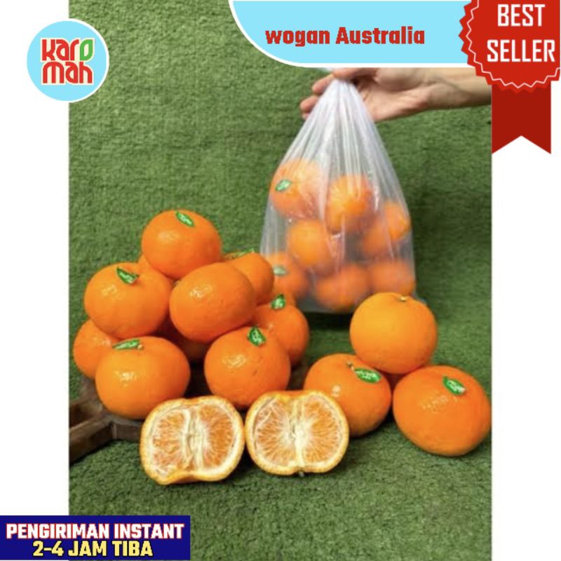 

Jeruk wogan 1kg | Buah jeruk wogan Australia manis fresh import / jeruk wokam mandarin wogan murcott Australia