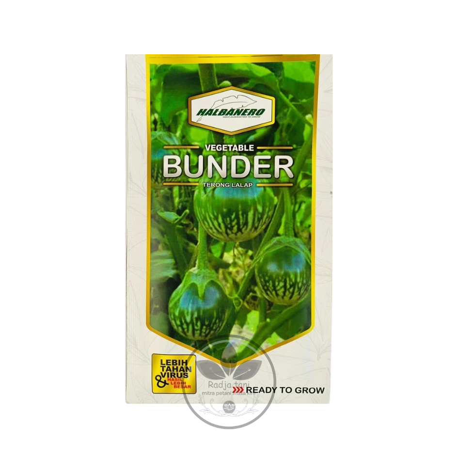 Benih - Benih terong lalap BUNDER isi 10gr dari HALBANERO (HALBANERO)