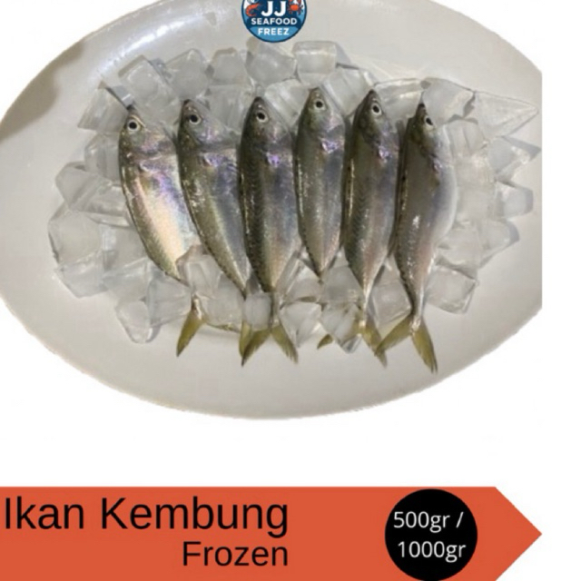 

Ikan Kembung Segar - Frozen 500gr/1Kg