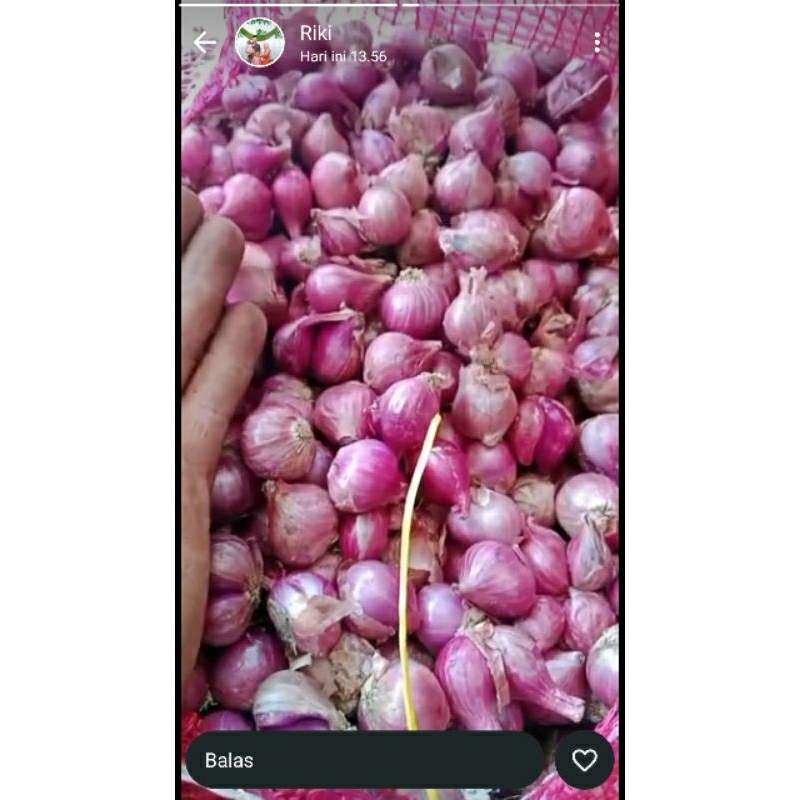 

BAWANG MERAH AAA KERING DIJAMIN