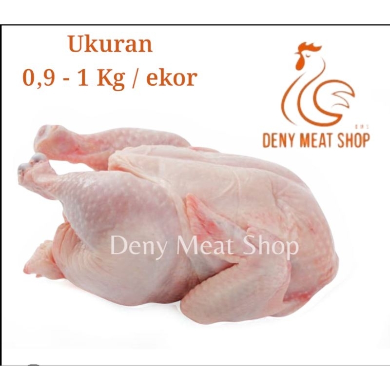 

Ayam Broiler Segar Ukuran 0,9-1 kg / 900-1.000 gram , Utuh / Parting