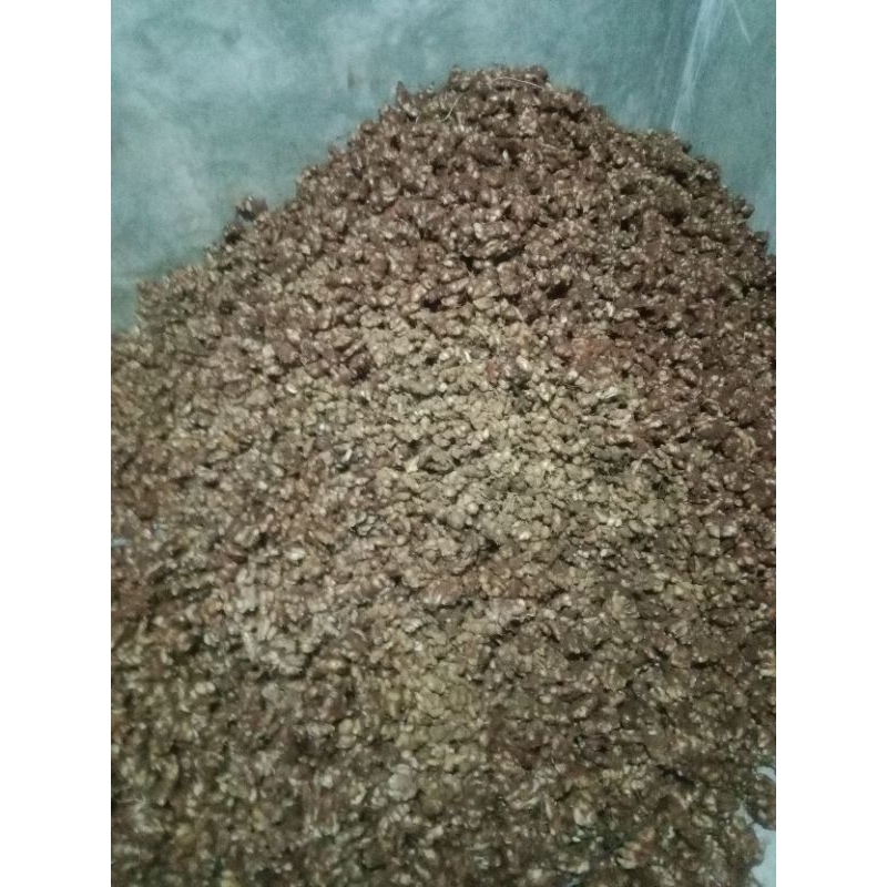 

kencur seger 1kg bahan bumbu seblak