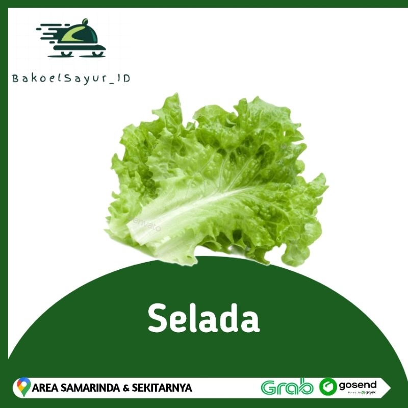 

Selada segar