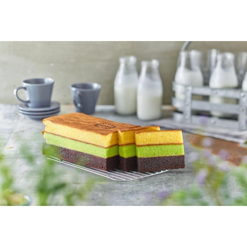 

Spikoe Bronis Pandan