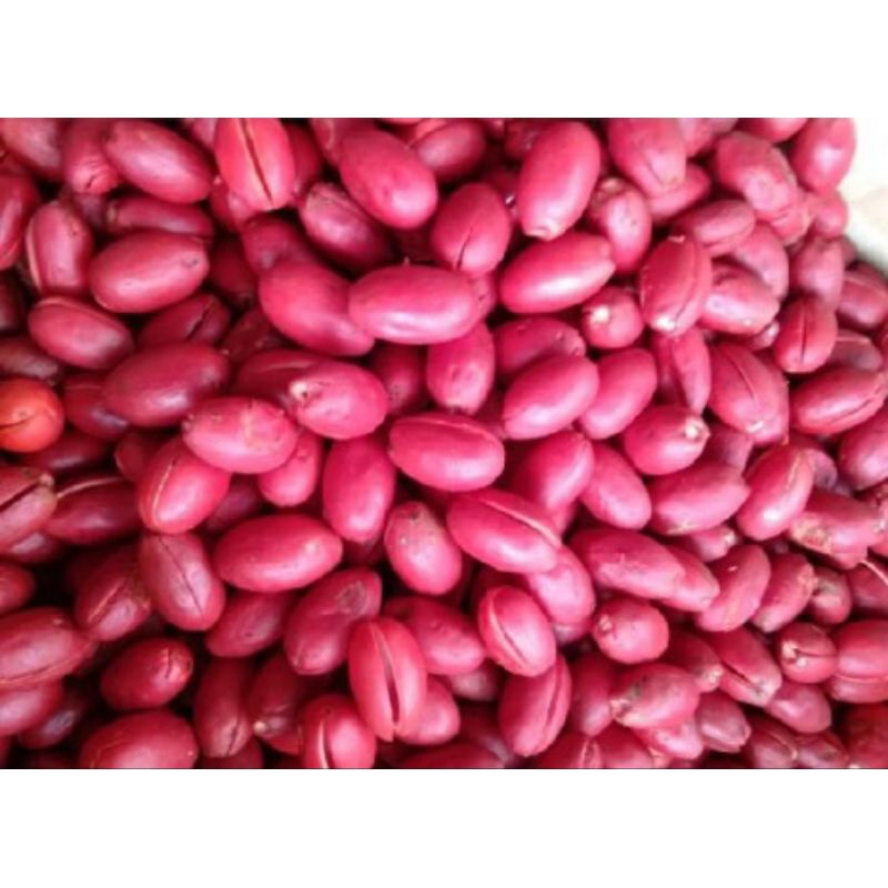 

KULIT TANGKIL / KULIT MELINJO FRESS 500 GR