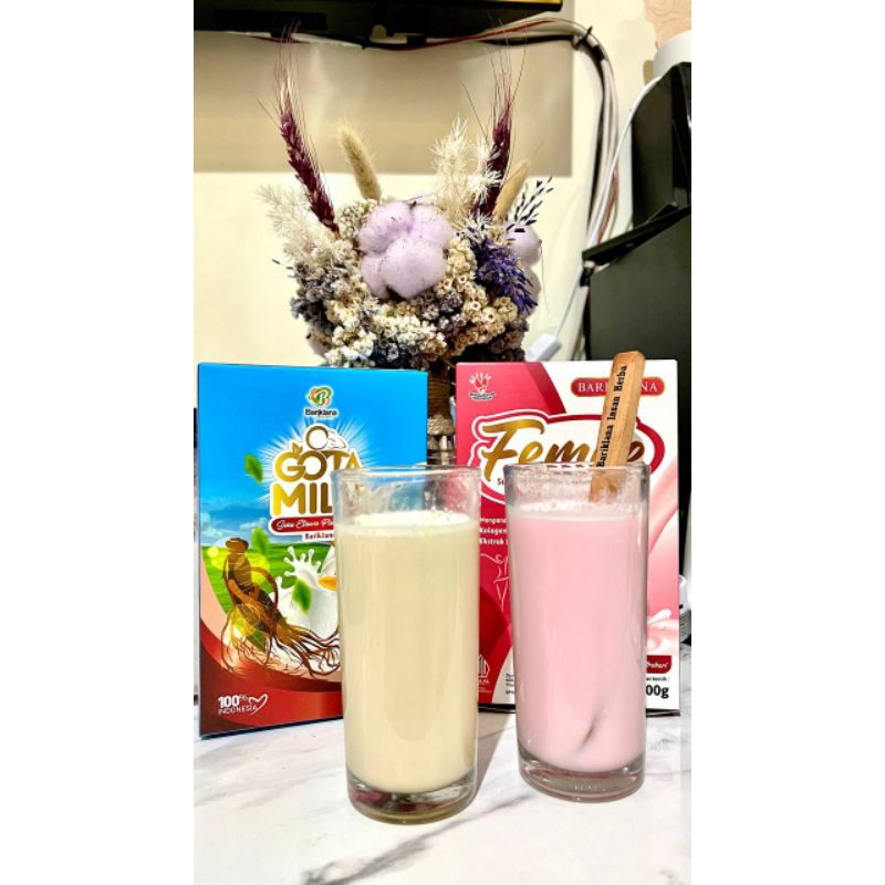 

[Paket Promil] FEMILE DAN GOTAMILE Susu Etawa Promil kesuburan Pria dan Wanita 200g Enak dan Sehat